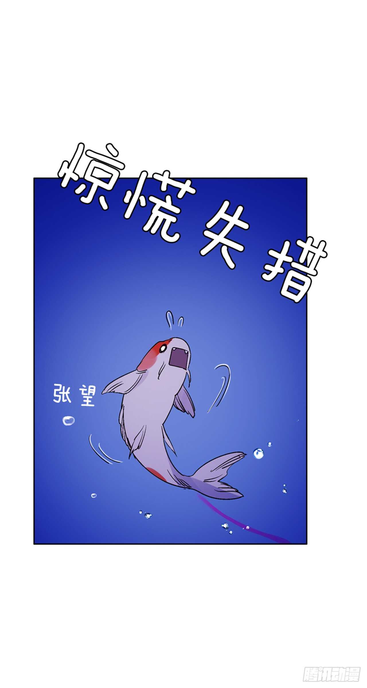 《爱月的梦》26.见到莲丽 第4页