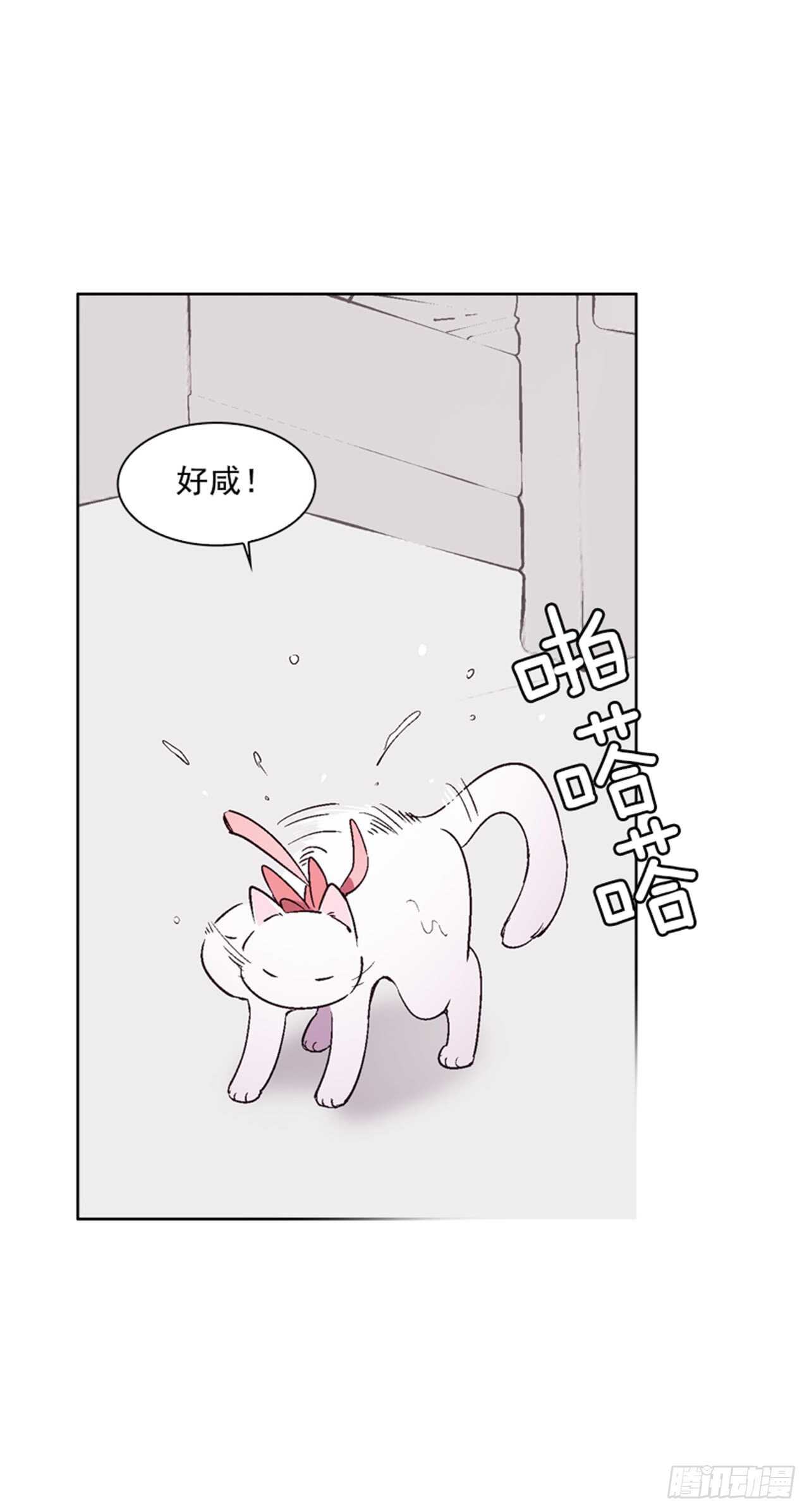 《爱月的梦》24.潜入邸宅 第18页