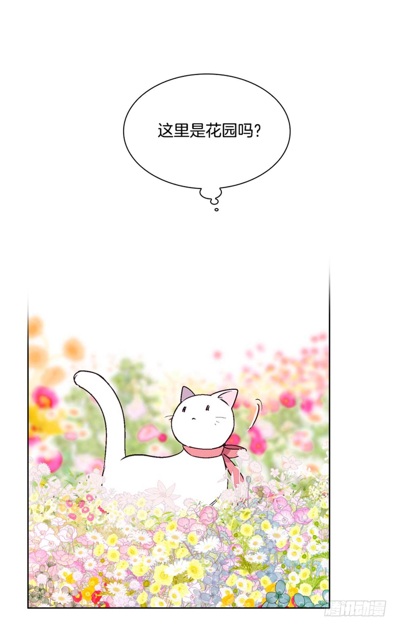 《爱月的梦》24.潜入邸宅 第28页