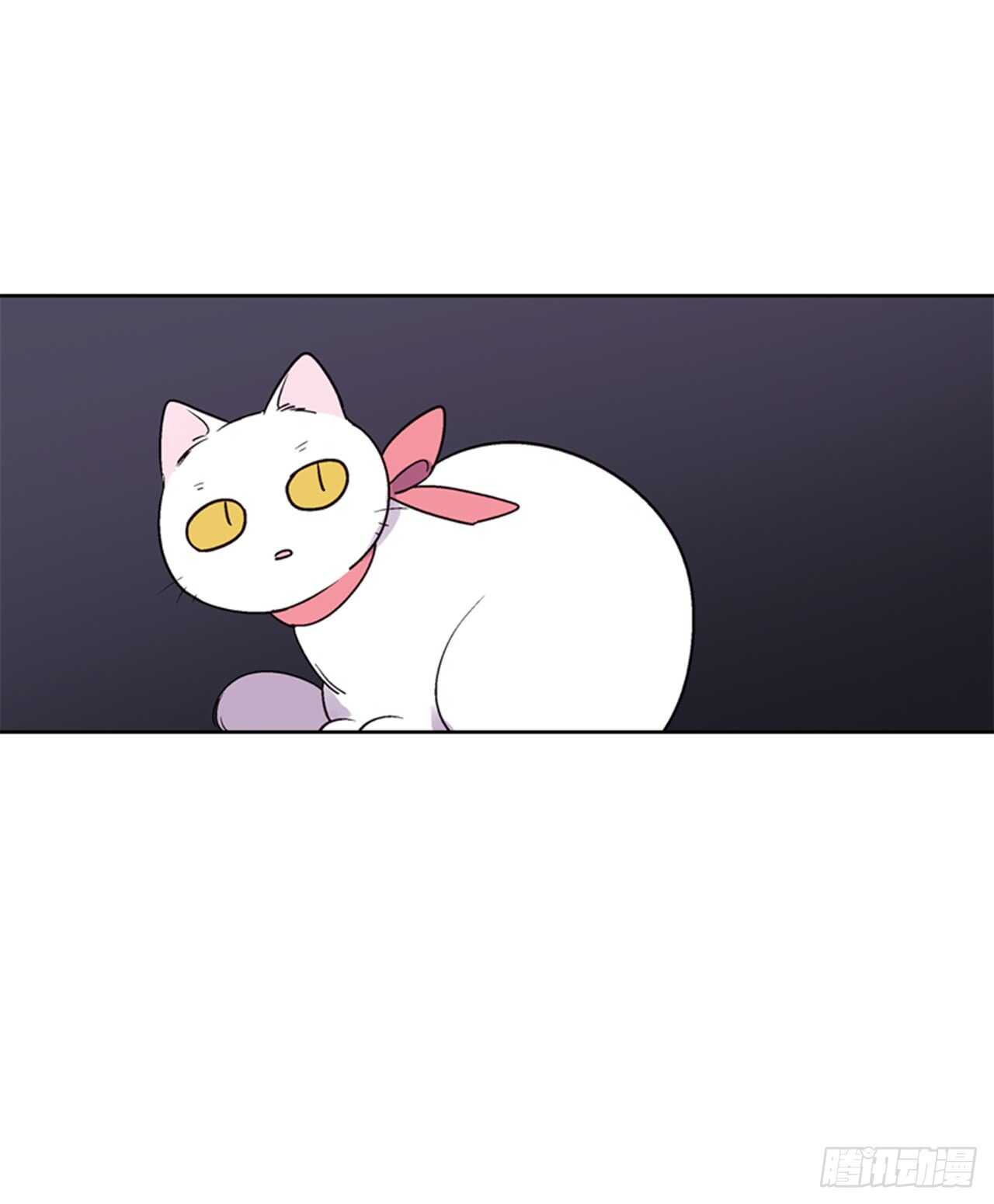 《爱月的梦》24.潜入邸宅 第37页