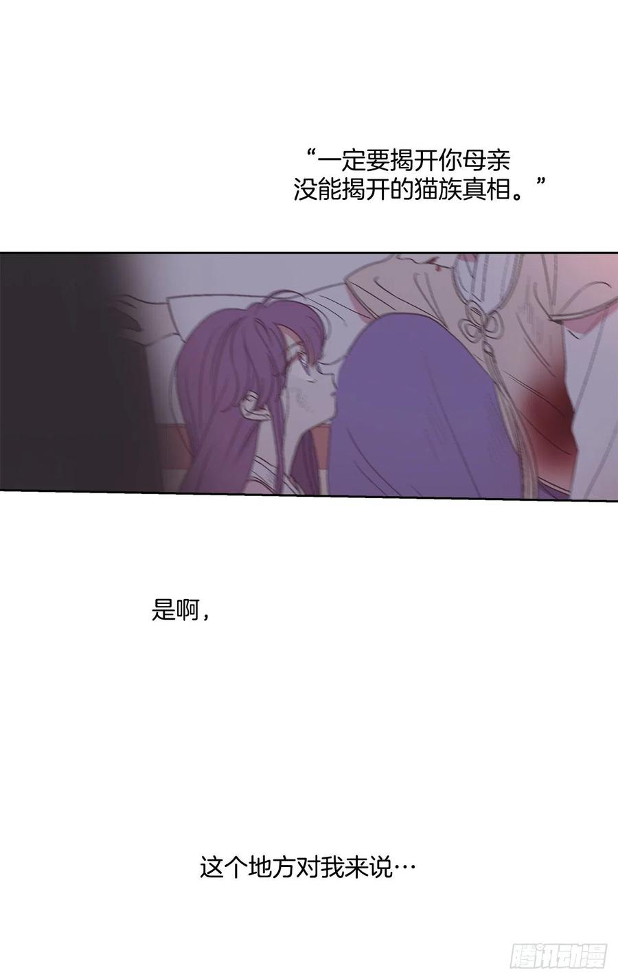 《爱月的梦》55.白金发猫族 第34页