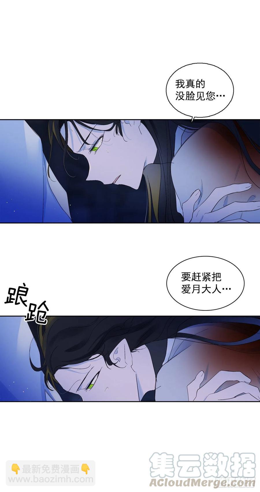 《爱月的梦》59.救救爱月 第40页