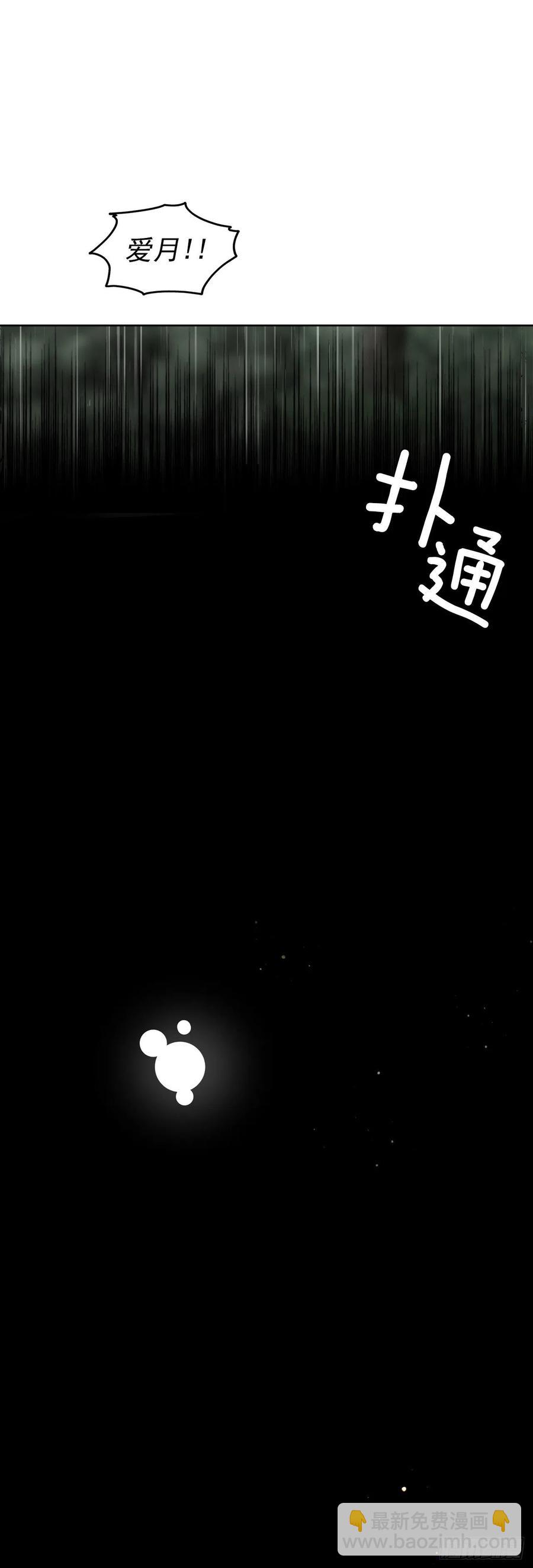 《爱月的梦》58.逃跑 第40页