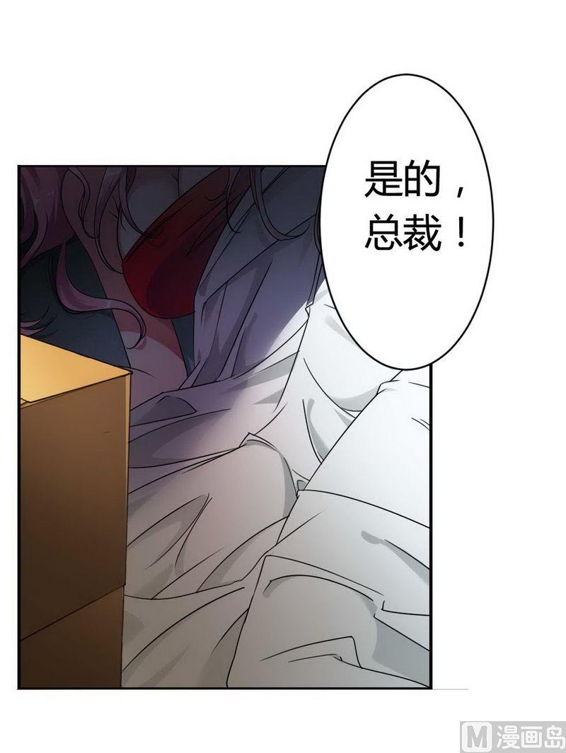 《首席的私有小秘》第3话 凌雪冰 第19页