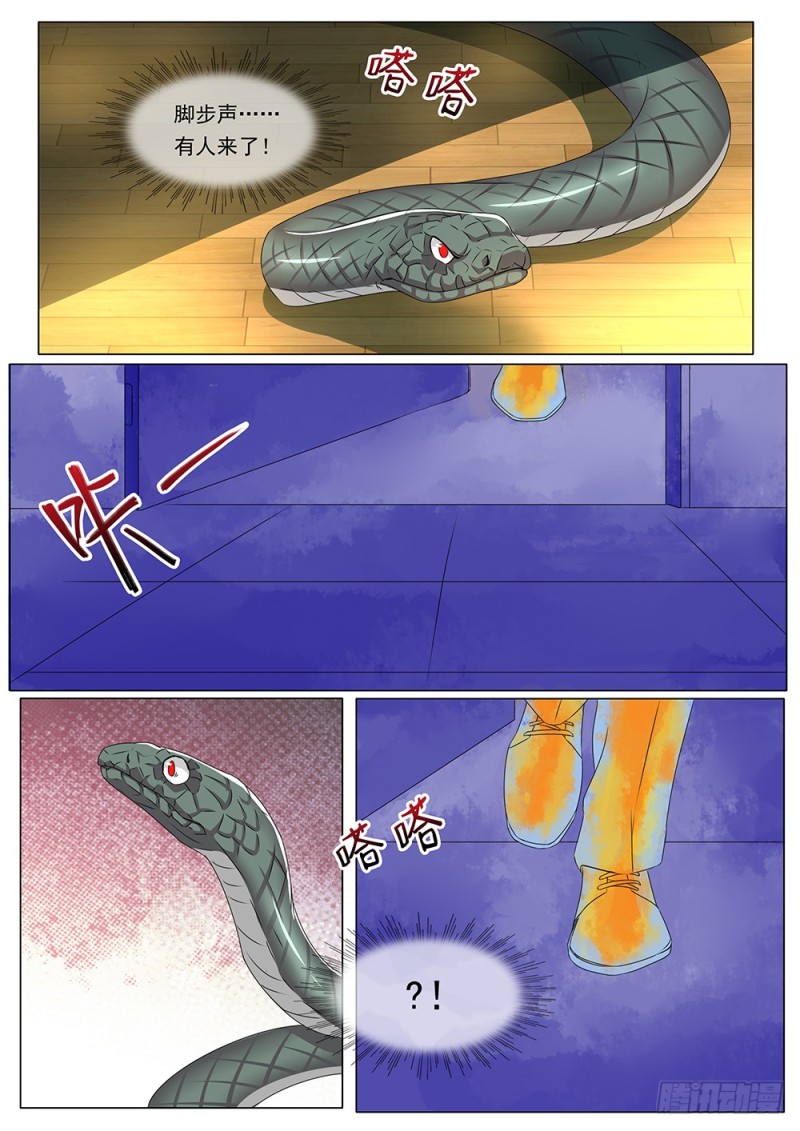 《超正义黑帮》053话 一条蛇的视角 第7页