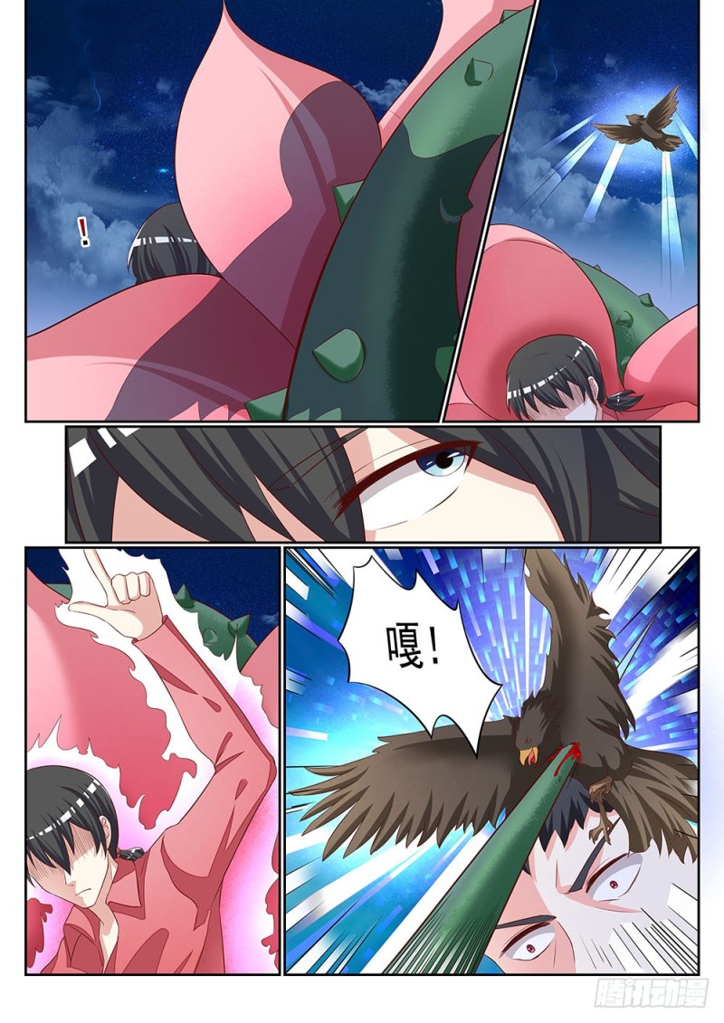 《超正义黑帮》059话 植物大军VS动物大军 第10页