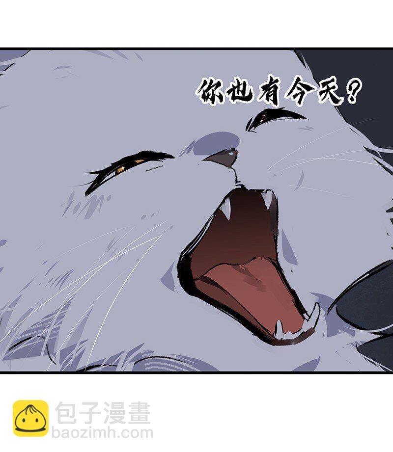 《大道朝天》074 投石问路 第19页