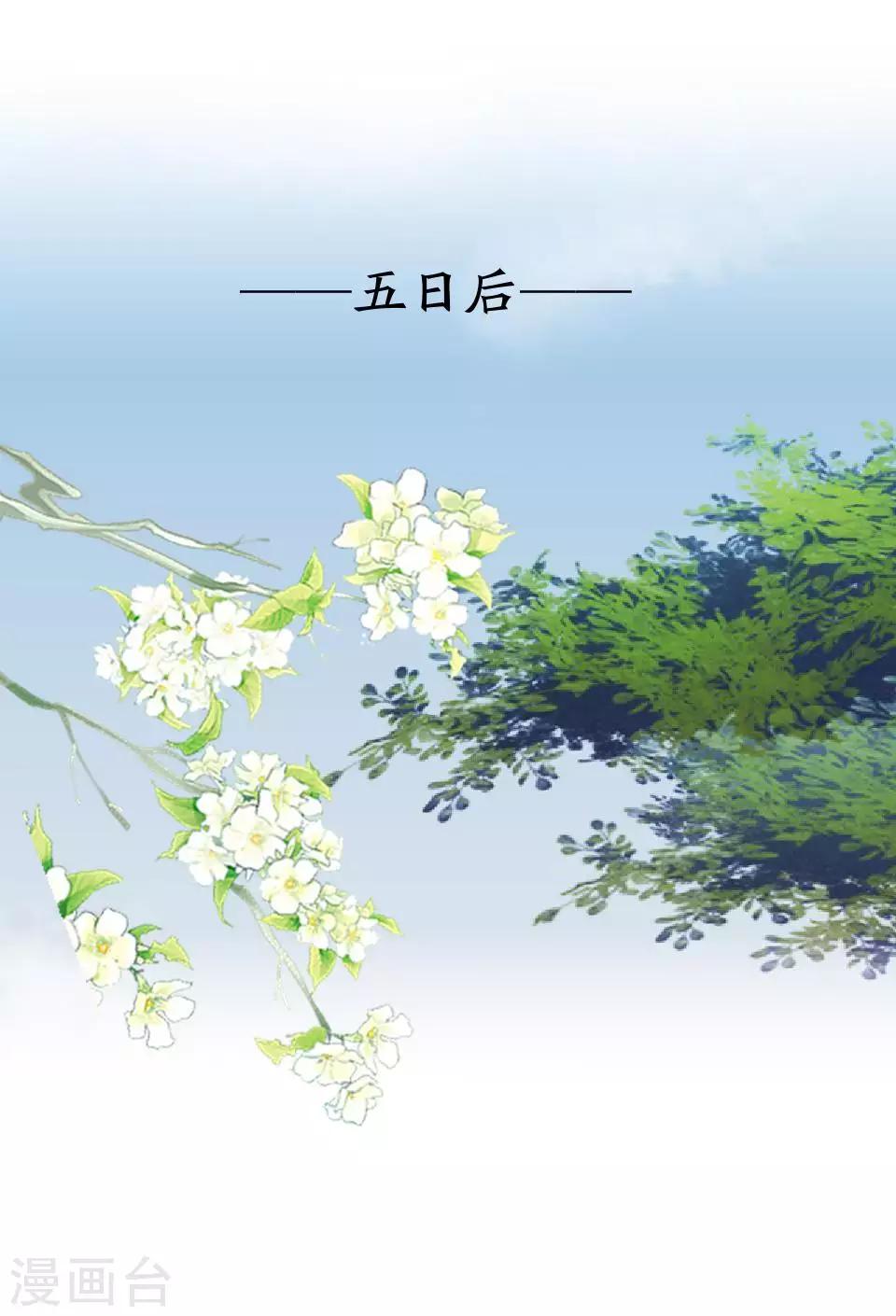 《还我男儿身》第11话 好一个搞笑的逃婚娃 第11页
