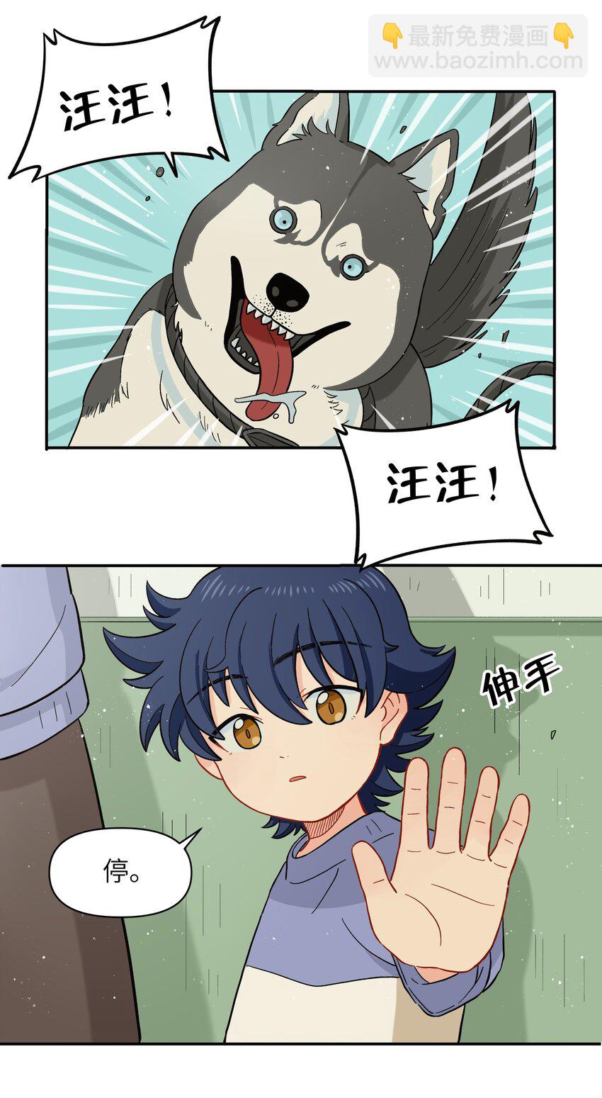 《银狼少年》033 有你们在的地方就是家 第9页