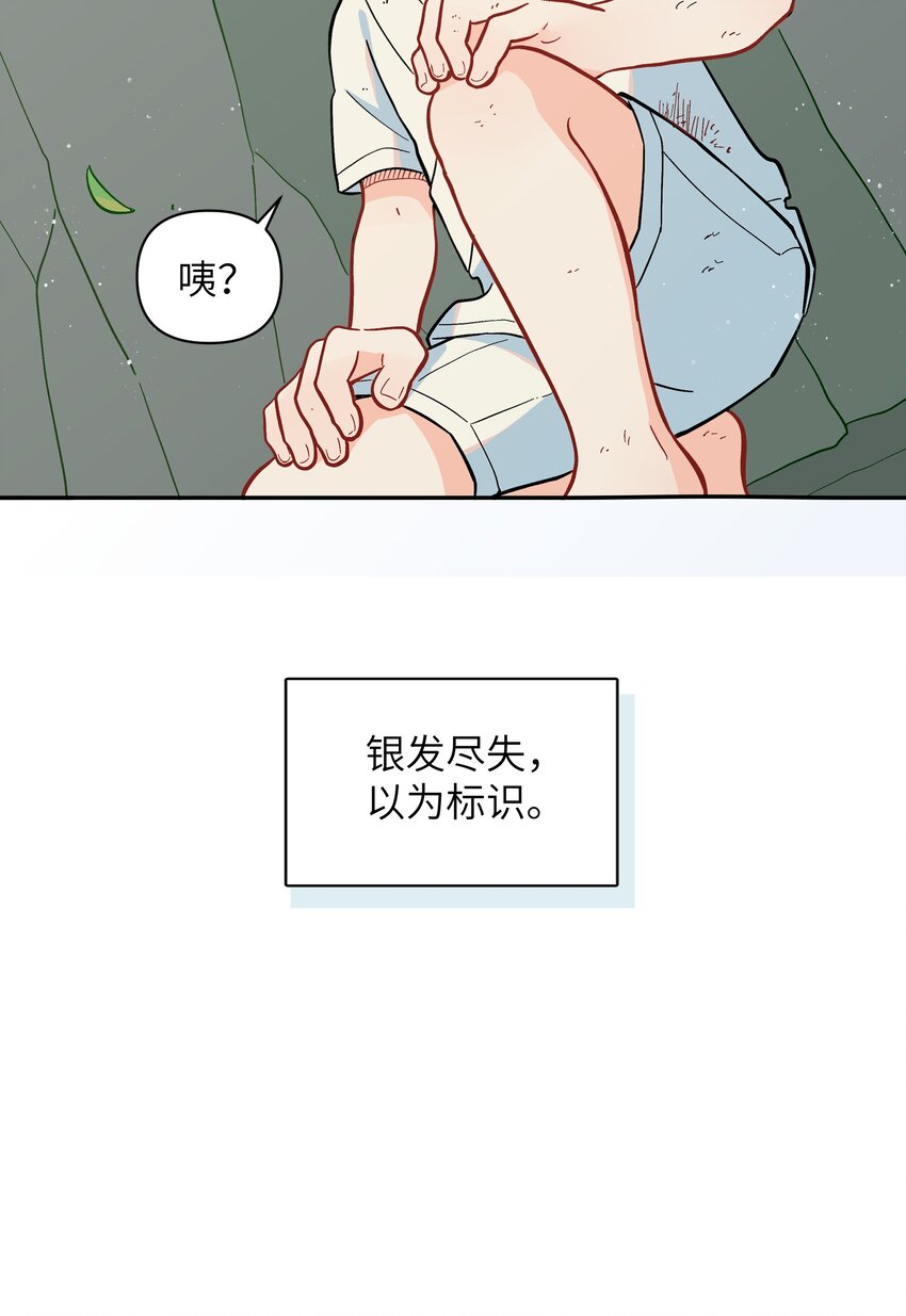 《银狼少年》050 以为标识 第49页