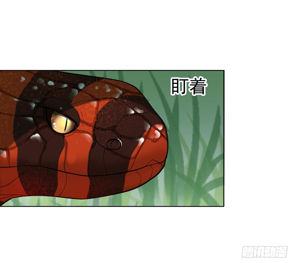 《妖夫求你休了我》番外篇前世今生 第16页