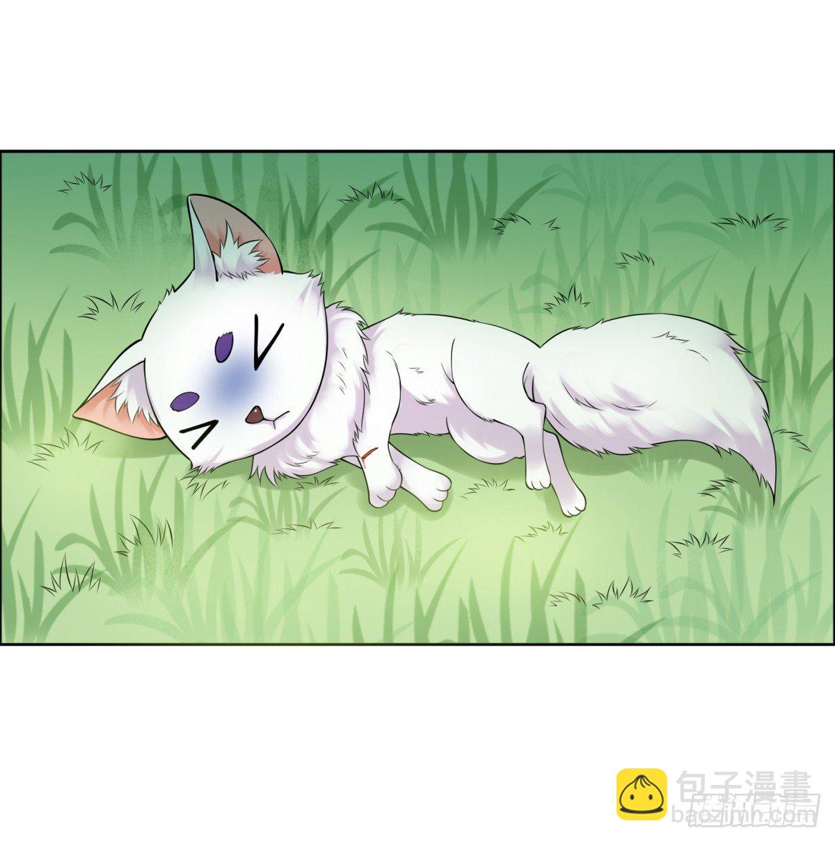《妖夫求你休了我》番外篇前世今生 第6页