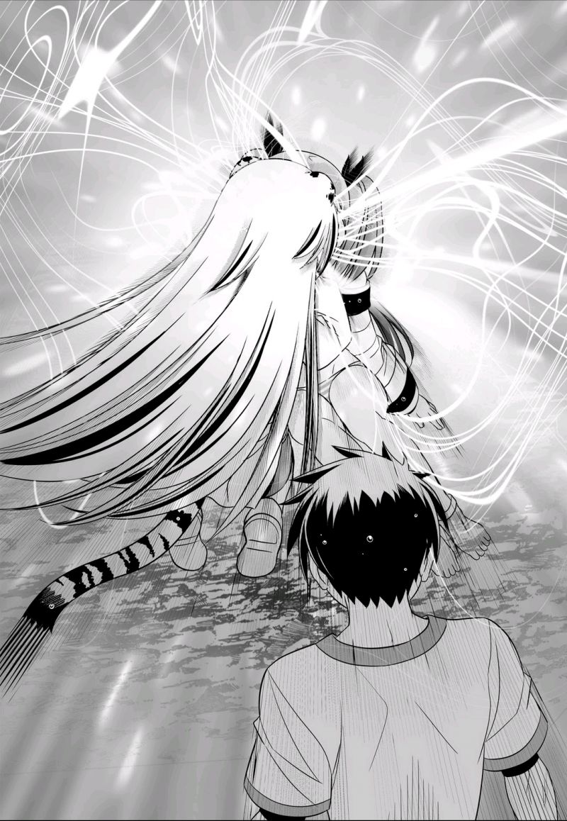 《萌虎与我》68话 第4页