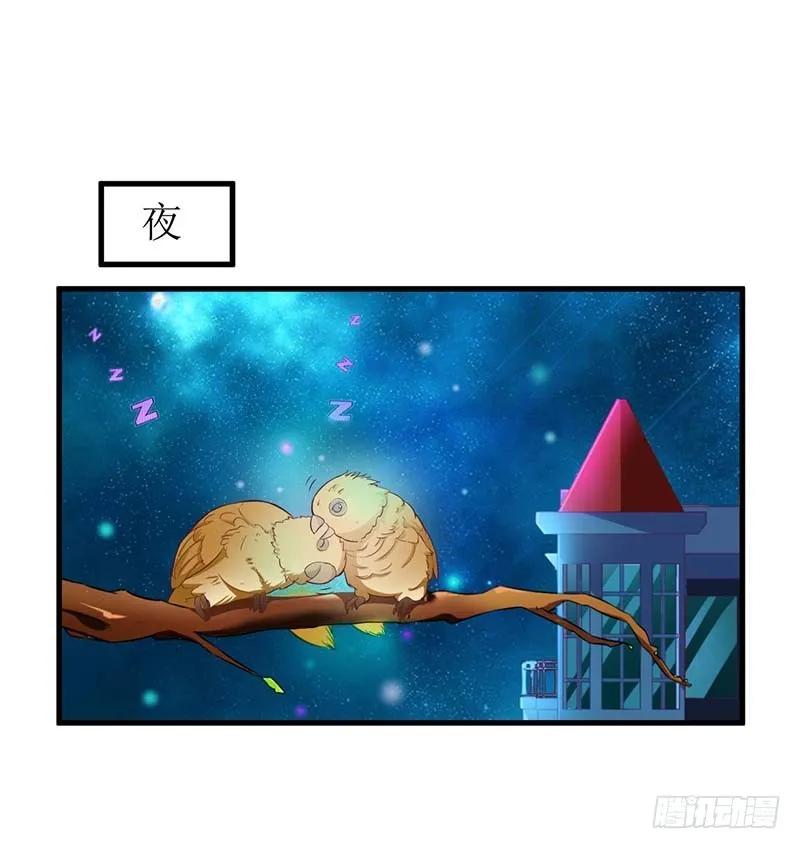 《总裁夫人修炼手册》第57话 真心还是假意 第12页