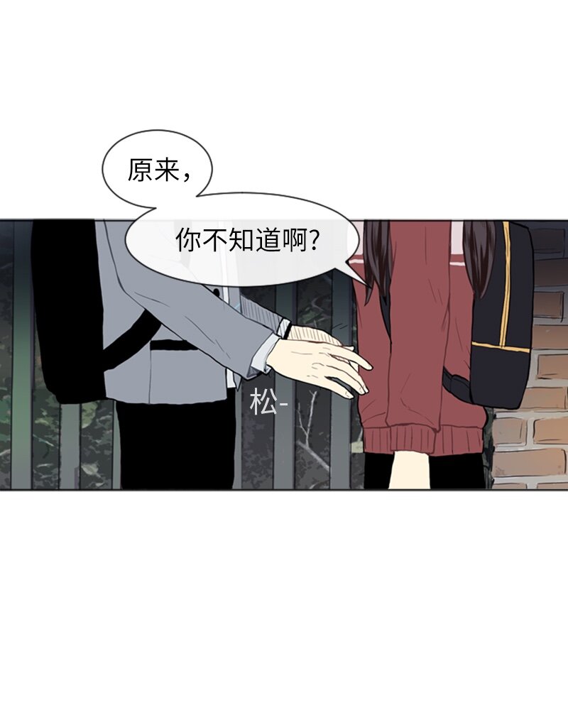 《直球少女的青春恋爱物语》24 你的告白 第4页