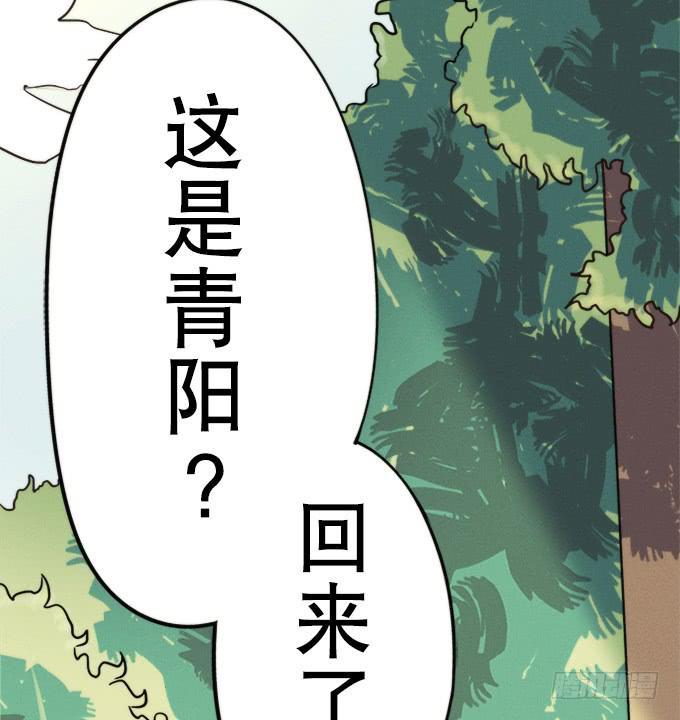 《修仙直播间》重返青阳 第43页
