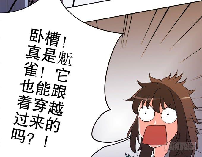 《修仙直播间》神秘人 第15页