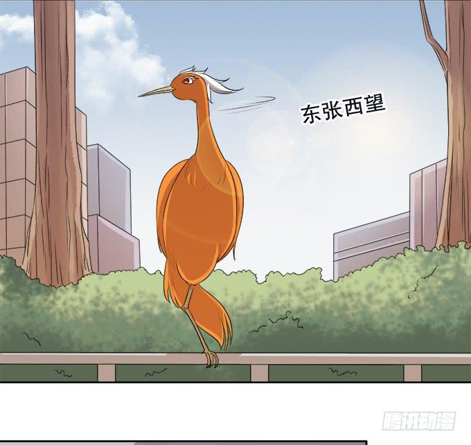 《修仙直播间》修仙者能跟普通人一样吗？ 第13页