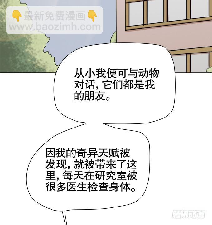 《修仙直播间》青阳的纷争 第41页