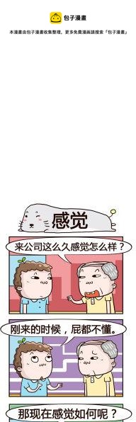 《奇葩办公室》36.感觉 第1页