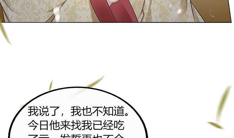 《凤命为凰》第46话 民变的秘密 第29页