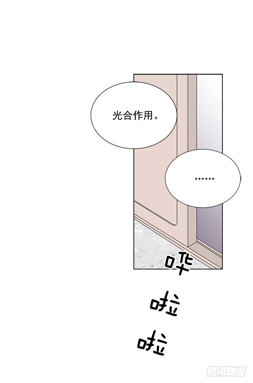 《遇见1/2的你》光合作用 第31页