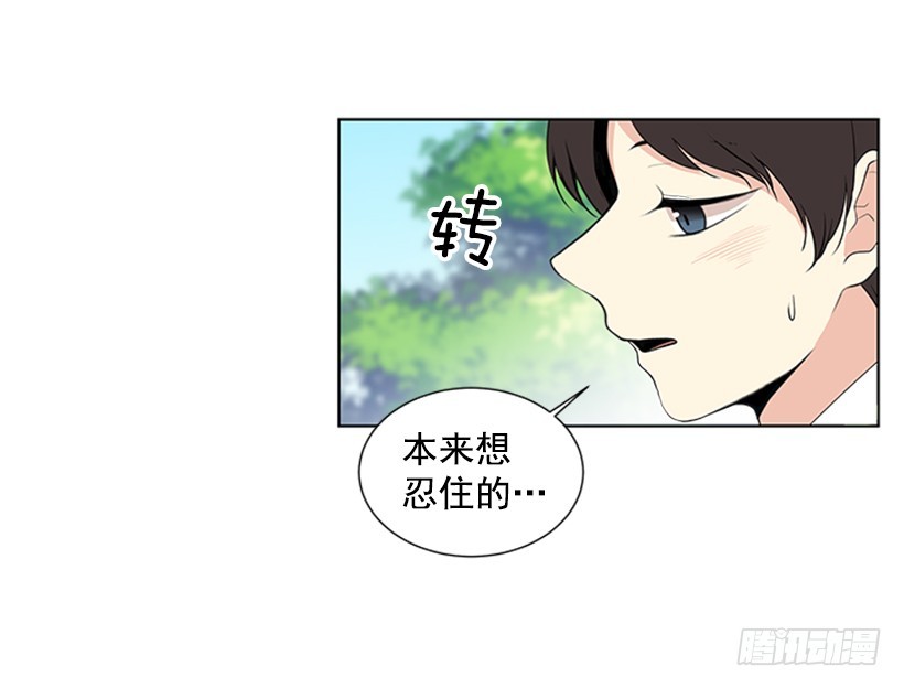 《遇见1/2的你》明确答复 第13页
