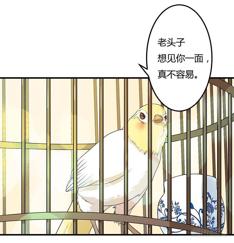 《总裁的蜜宠娇妻》012 他是脑残 第11页