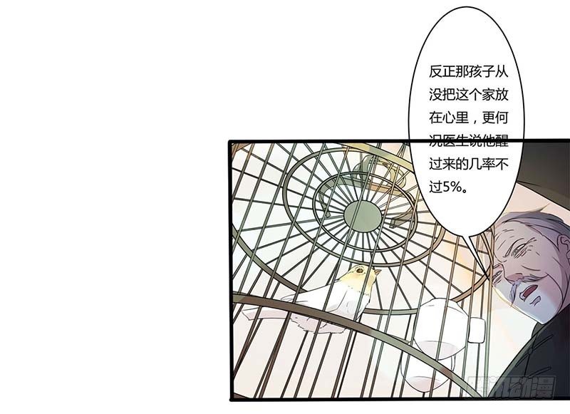 《总裁的蜜宠娇妻》012 他是脑残 第23页