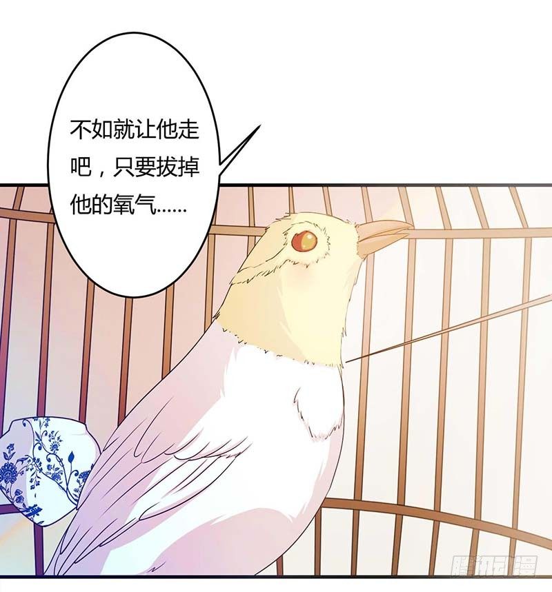 《总裁的蜜宠娇妻》012 他是脑残 第24页