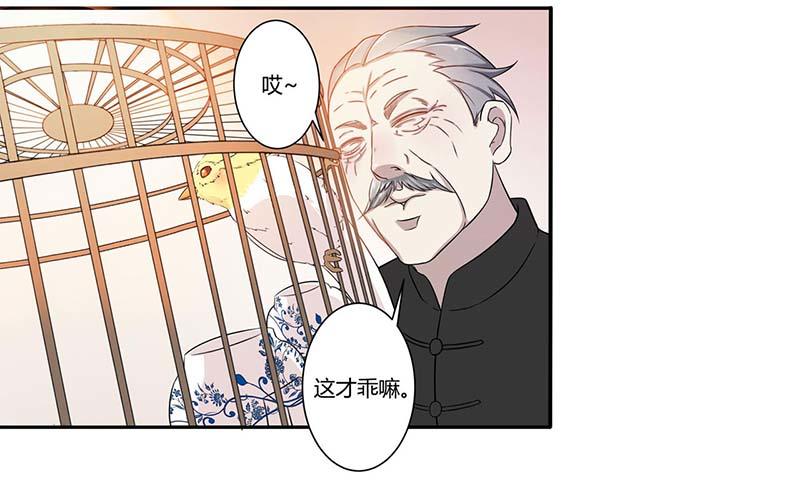 《总裁的蜜宠娇妻》012 他是脑残 第27页