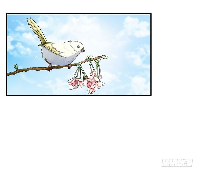《总裁的蜜宠娇妻》014 秘密送走？！ 第19页