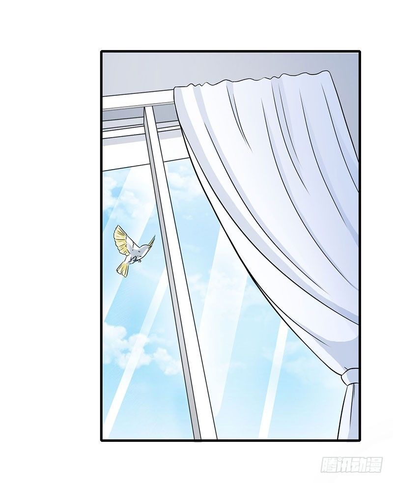 《总裁的蜜宠娇妻》014 秘密送走？！ 第20页