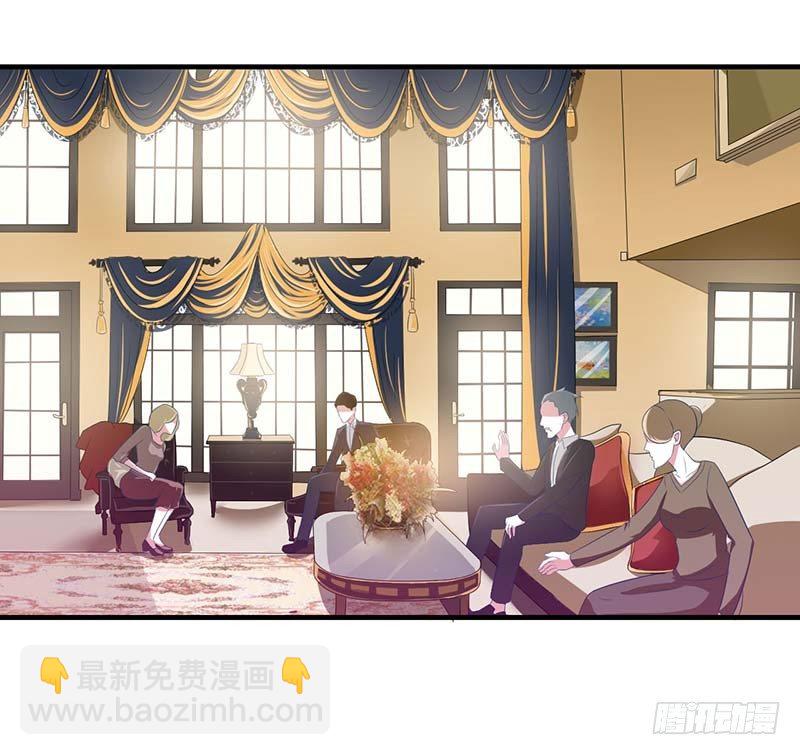 《总裁的蜜宠娇妻》036 一切有我 第28页