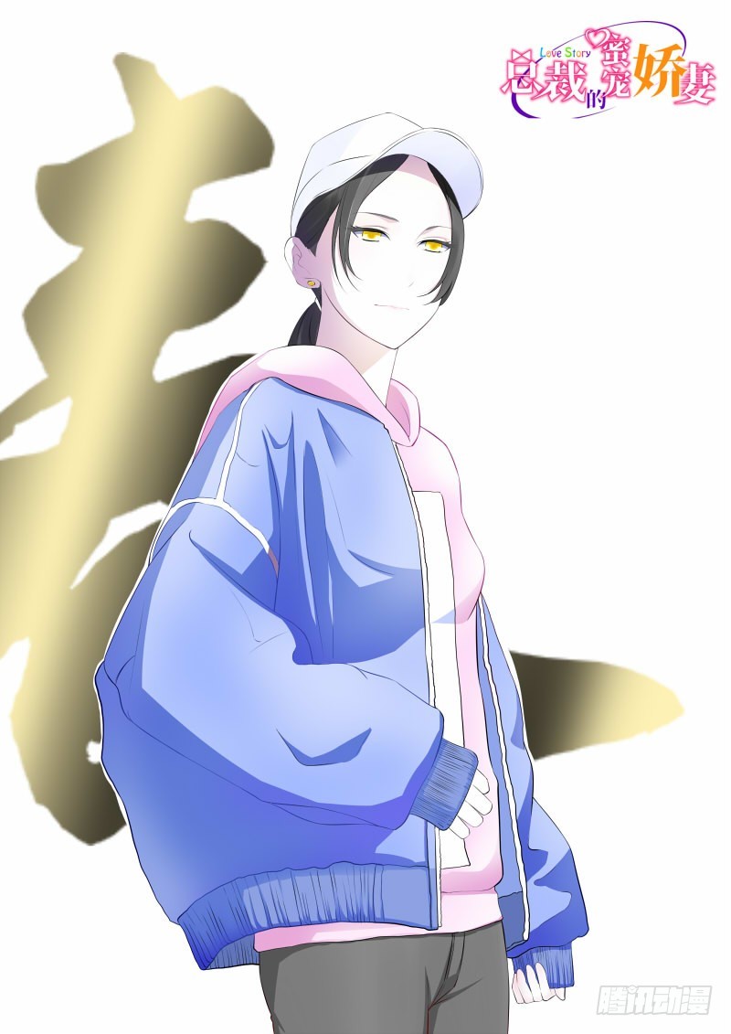 《总裁的蜜宠娇妻》038 强强联手 第1页