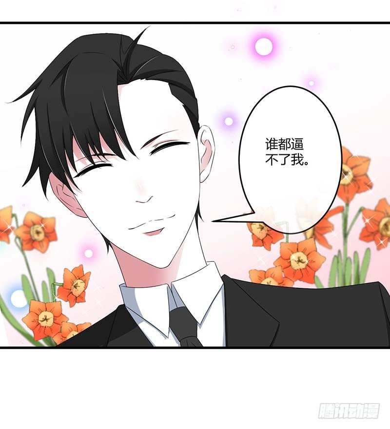 《总裁的蜜宠娇妻》038 强强联手 第28页