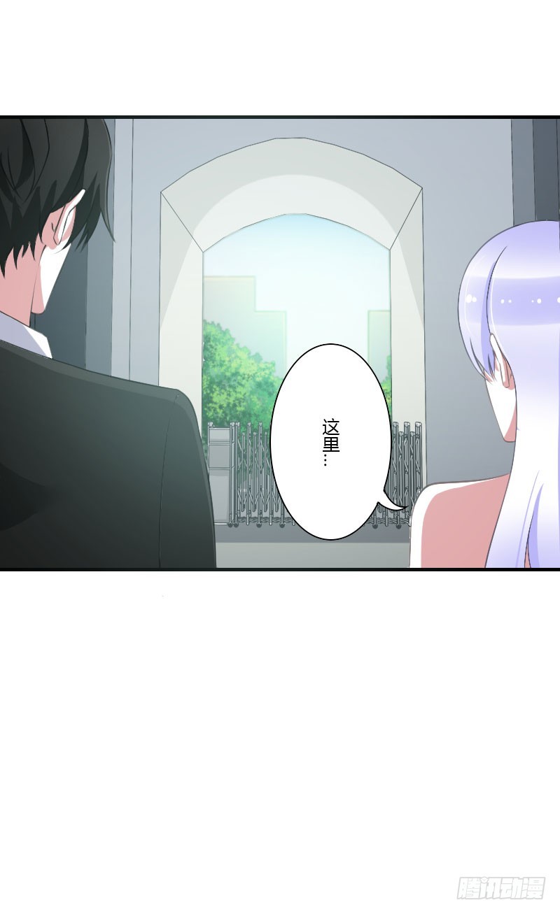 《总裁的蜜宠娇妻》040 我救过他？！ 第30页