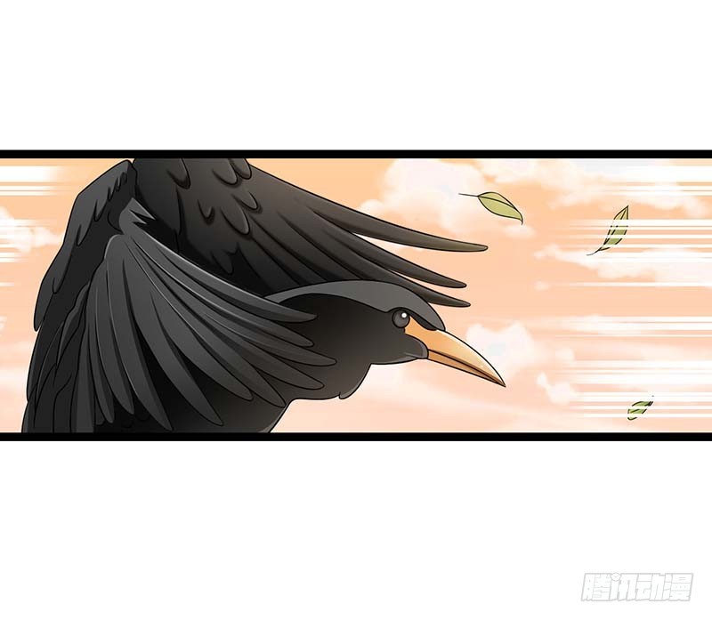《总裁的蜜宠娇妻》044 落水 第30页