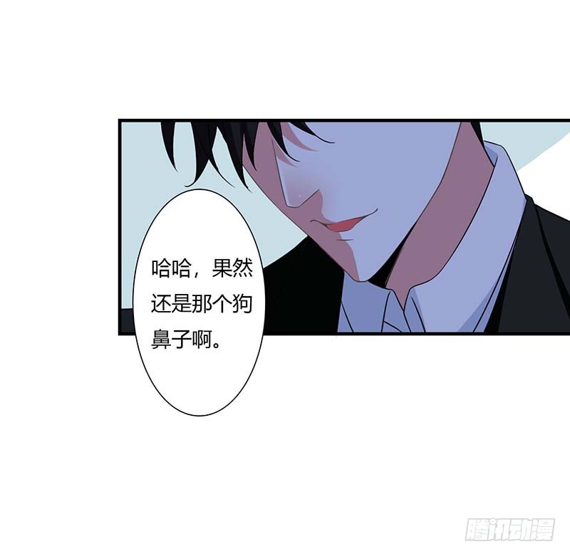 《总裁的蜜宠娇妻》046 生日快乐 第29页