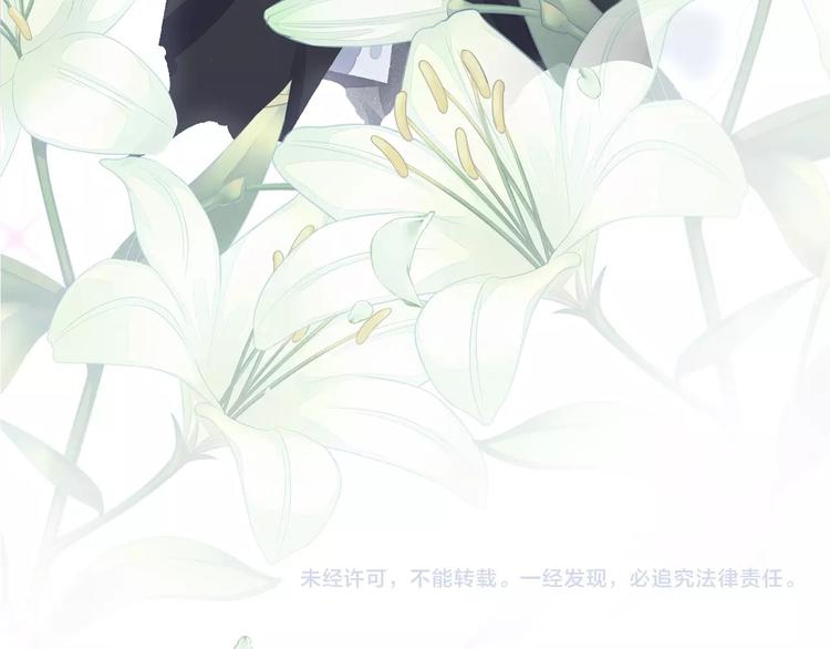 《我与四个顾先生》序章 当灰姑娘遇见人格分裂总裁 第40页