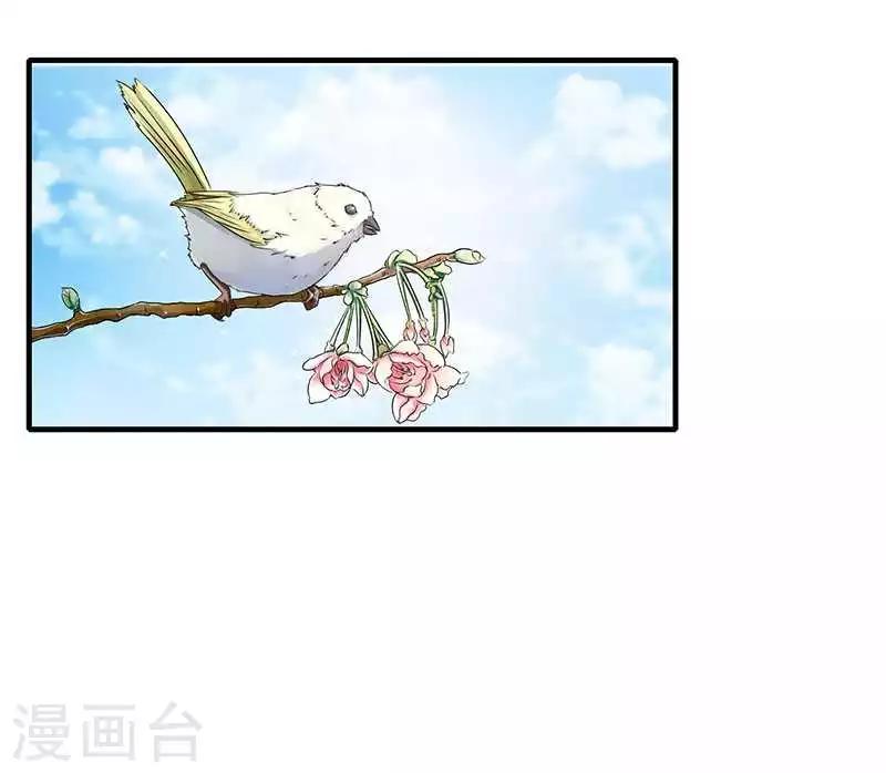 《总裁的私人秘书》第14话 秘密送走？！ 第19页