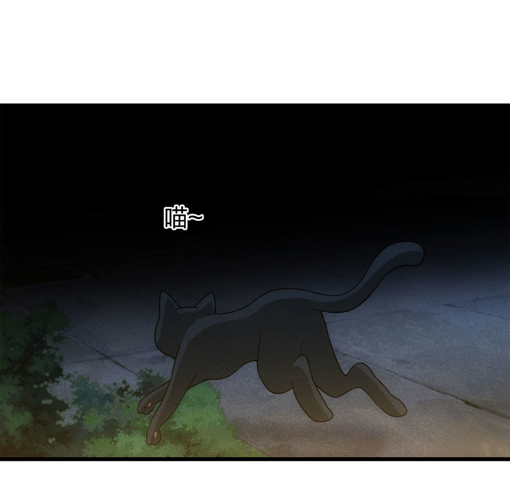 《悬疑猫——大叔深夜故事集》017-夜班公交（下） 第2页