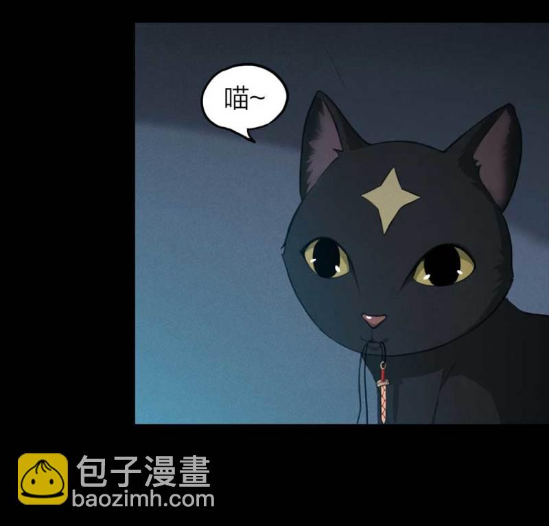 《悬疑猫——大叔深夜故事集》085-捉迷藏（下） 第31页