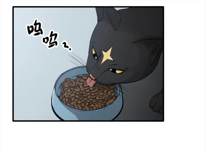 《悬疑猫——大叔深夜故事集》084-捉迷藏（上） 第5页