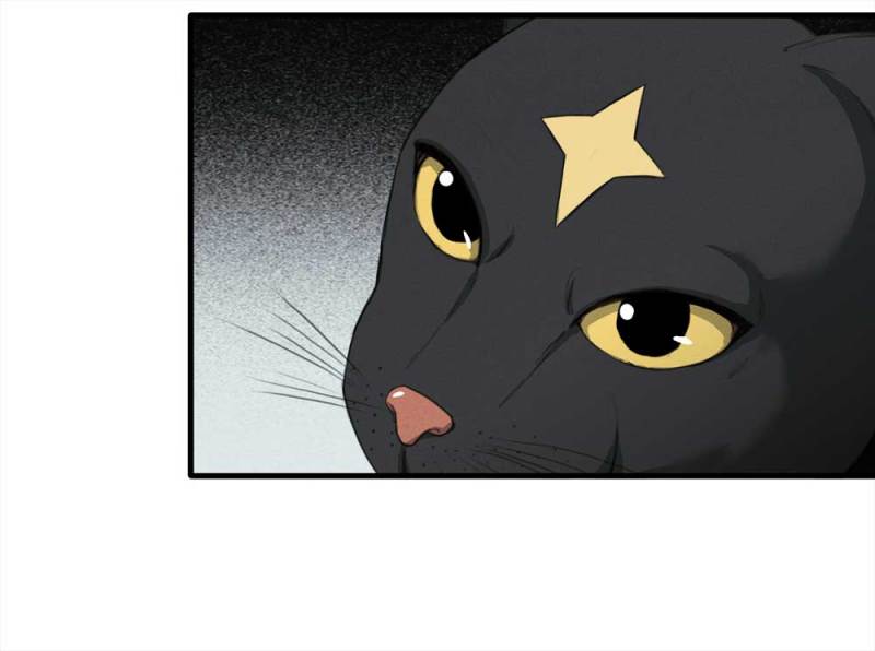 《悬疑猫——大叔深夜故事集》084-捉迷藏（上） 第8页