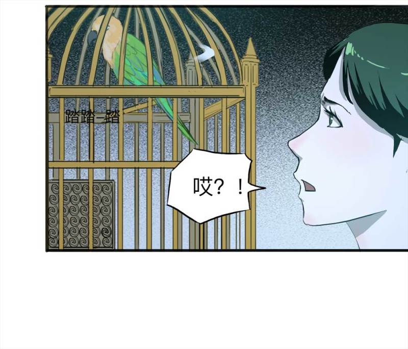 《悬疑猫——大叔深夜故事集》091-甜蜜岛（上） 第18页