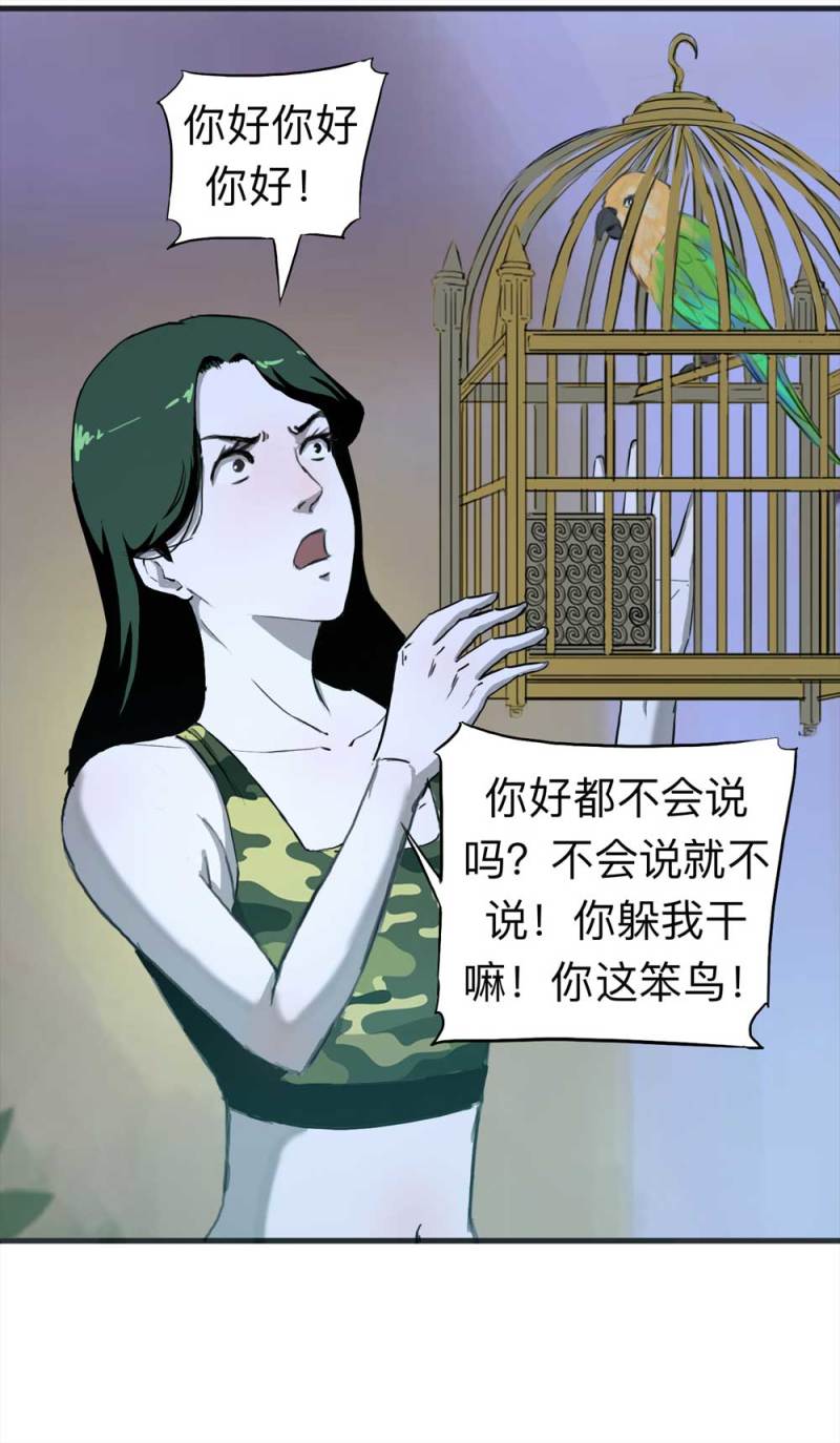 《悬疑猫——大叔深夜故事集》091-甜蜜岛（上） 第19页