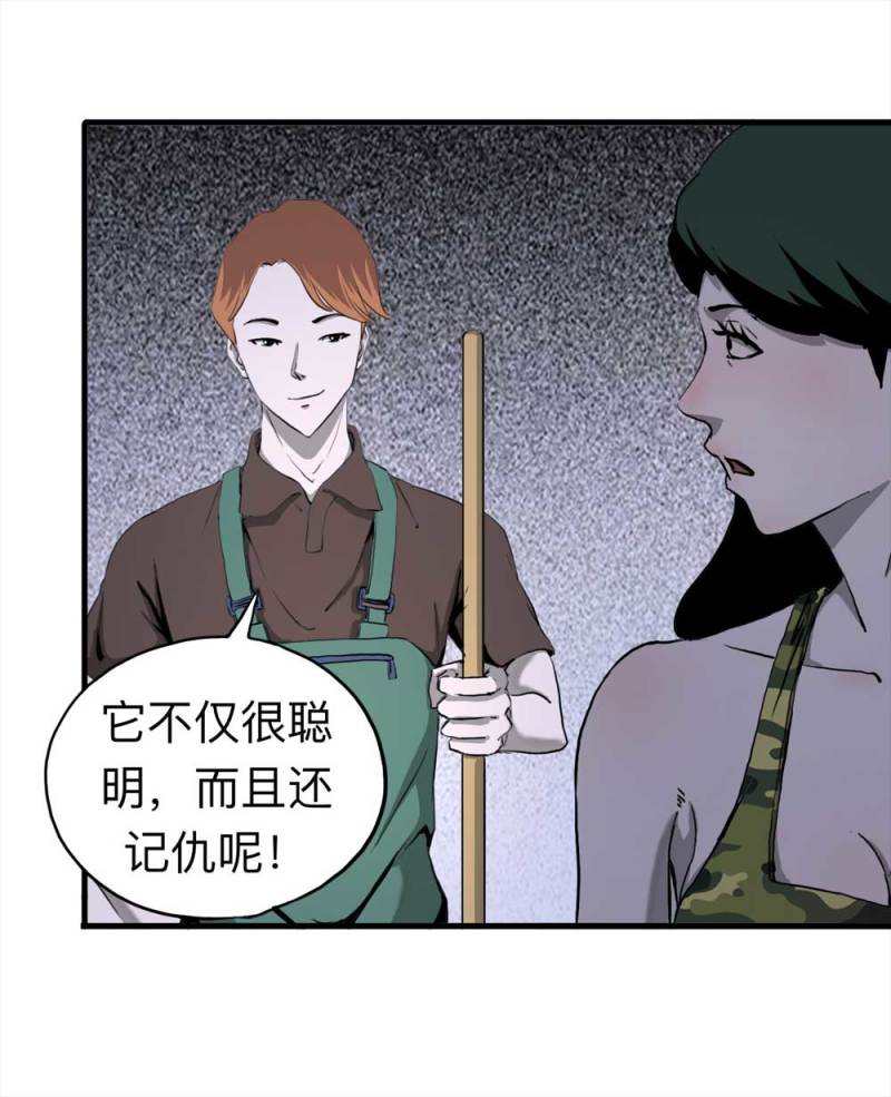 《悬疑猫——大叔深夜故事集》091-甜蜜岛（上） 第22页