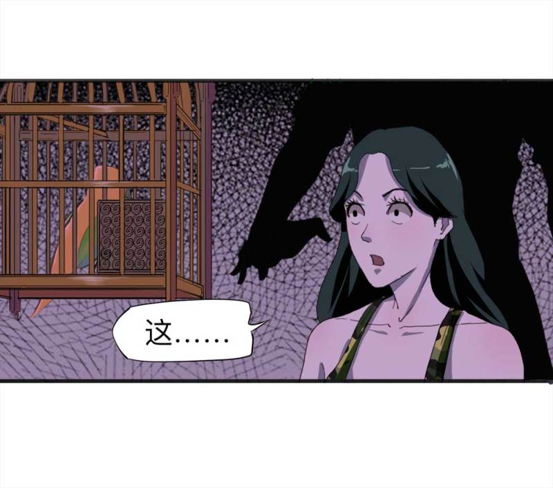 《悬疑猫——大叔深夜故事集》092-甜蜜岛（中） 第14页