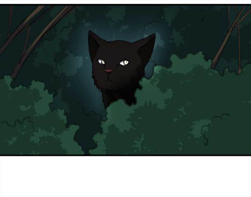 《悬疑猫——大叔深夜故事集》097-情未了（下） 第11页